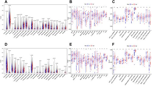 Figure 3 Boxplots and violin plots showing the infiltration levels of immune cell types in low-and high GLUT-3 expression groups. ((A) Infiltration levels of immune cell types by CIBERSORT in GSE31312; (B) Infiltration levels of immune cell types by ssGSEA in GSE31312; (C) Immunecell functions by ssGSEA in GSE31312; (D) Infiltration levels of immune cell types by CIBERSORT in GSE117556; (E) Infiltration levels of immune cell types by ssGSEA in GSE117556; (F) Immunecell functions by ssGSEA in GSE117556). *p < 0.05, **p < 0.01, ***p < 0.001.