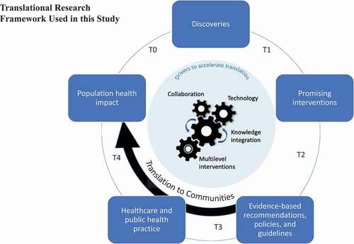 Figure 1. Translational research framework adapted from the collective works of Khoury and colleagues (Lam et al., Citation2013) and Taplin and colleagues (Taplin et al., Citation2012)