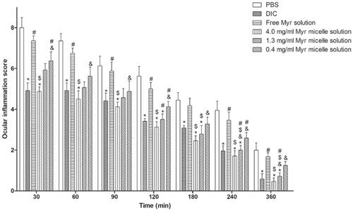 Figure 6. Anti-inflammatory efficacy of Myr micelles and free Myr on the inflammation induced by sodium arachidonate solution (SAS) in rabbit eyes compared with diclofenac sodium eye drops (5 ml: 5 mg) and PBS (mean ± SD, n = 6, *p<.05 compared to the PBS group, $p<.05 compared to the 4 mg/ml of free Myr solution group, #p<.05 compared to the diclofenac sodium eye drops group, &p<.05 compared to the 4 mg/ml of Myr micelles group). Myr: myricetin; DIC: diclofenac sodium eye drops.