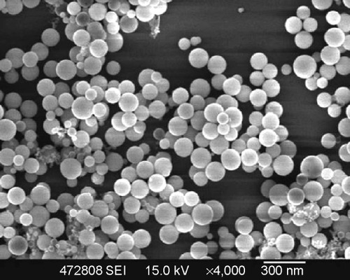 Figure 1 Scanning electron micrograph of amorphous calcium carbonate hybrid nanospheres functionalized with a Ca(II)-inositol hexakisphosphate compound.