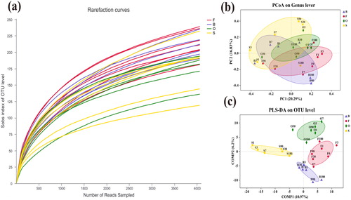 Figure 1. (a) Rarefaction curves of OTUs. (b) Principal co-ordinates analysis. (c) Partial least squares discriminant analysis.