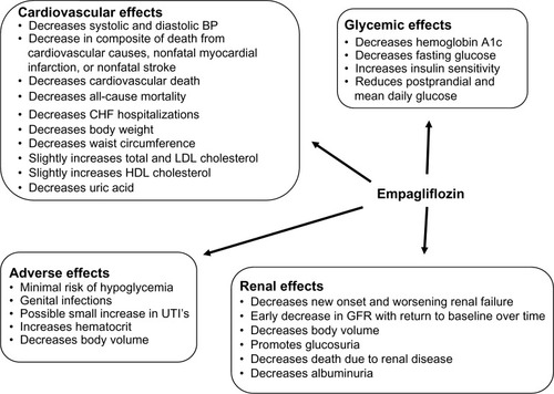 Figure 1 A summary of the glycemic, cardiovascular, renal, and adverse effects of empagliflozin.
