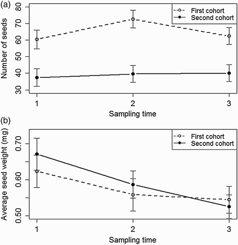 Figure 2. Changes in (a) number of seeds produced per flower receptacle, and (b) average seed weight (mg seed−1) over three sampling times (1 = 8 September, 2 = 17 September, and 3 = 26 September) in shoots of first and second cohort of S. arvensis when averaged over root length traits (5 and 20 cm). Dotted line, open circle: first shoot cohort. Dashed line, filled circle: second shoot cohort. Whiskers indicate 95% conﬁdence interval.