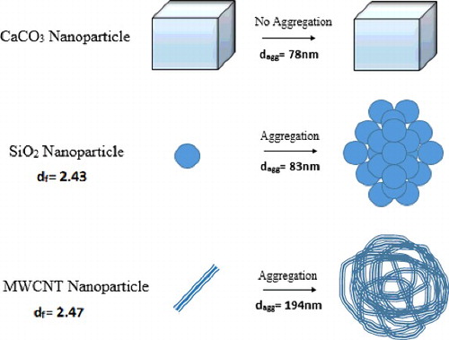 Figure 6. Aggregated structure of nanoparticles in drilling fluids proposed by fractal dimension analysis.