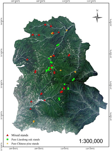 Figure 1. Location of the plots used for investigating the growth of pure and mixed stands of Liaodong oak (Quercus liaotungensis) and Chinese pine (Pinus tabulaeformis) in the Huanglong mountains.