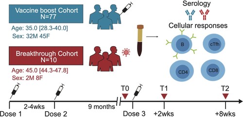 Figure 1. Study design and cohort summary.