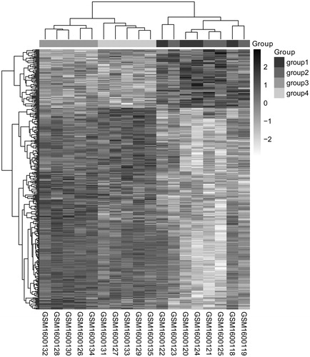 Figure 1. Two-way hierarchical clustering heat map of DEGs. The horizontal axis represents the different samples, the vertical axis represents the genes and the white to black represents the genes expression changed; the deeper the color, the high the expression levels. DEGs: differentially expressed genes.