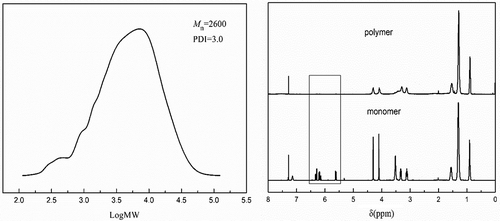 Figure 3. GPC curves (left) and 1H NMR spectrum (right) of the polymer cleaved from S3-a.