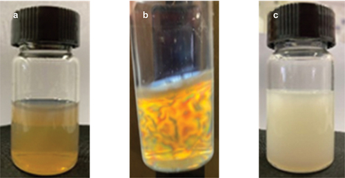 Figure 6. The aqueous suspensions of: (a) BBF-NCC under normal light, (b) BBF-NCC under cross-polarized light setup, (c) BBF-AC.