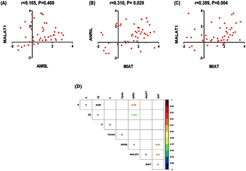 Figure 2. Correlation analysis between lncRNA expression profiles (A–C). Correlation matrix (D) including the correlation between the study lncRNAs and the hematological laboratory parameters (only significant correlations are shown). Data are log transformed. Spearman's Rank correlation test was used.