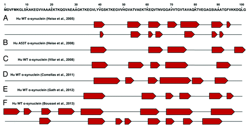 Figure 2. α-synuclein fibril core regions as determined by ssNMR studies. Upper panel: schematic representation of the α-synuclein segment from residue 1 to 100 involved in structural changes. Lower panel: proposed β-strand (indicated as red pentagons) organization of different human (Hu) α-synuclein fibrillar assemblies determined by different groups: (A) reference Citation68 (B) reference Citation67 (C) reference Citation69 (D) reference Citation70 (E) reference Citation71 (F) reference Citation65.