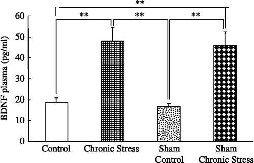 Figure 4  Plasma BDNF concentrations and chronic stress. Data are plasma BDNF concentrations in terminal cardiac puncture blood samples. Control: no stress; Chronic stress: after daily 12 h restraint stress for 22 days; Sham: sham sialoadenectomy. Values are mean ± SEM; n = 12 rats in each group. **p < 0.01, ANOVA/Tukey's.