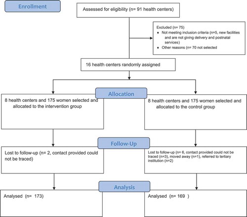 Figure 1. Flow diagram of trial randomization, allocation, follow up and analysis.