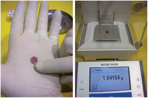 Fig. 15. Example of small plutonium samples that were placed in the Thor center piece for neutron multiplicity measurements