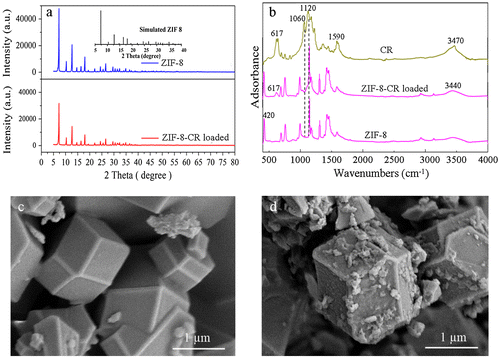 Figure 4. (a) XRD pattern of pristine ZIF-8 and CR loaded ZIF-8; (b) FTIR spectra of pristine ZIF-8 and CR loaded ZIF-8; (c) SEM micrographs of pristine ZIF-8; (d) SEM micrograph of CR loaded ZIF-8.