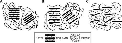 Figure 1 Diagrams of three types of organic–inorganic hybrid nanocomposites based on polymer, LDHs and drug.Notes: (A) Organic-coated inorganic hybrid LDH nanoparticles. (B) Organic-intercalated inorganic hybrid LDH nanoparticles. (C) Organic–inorganic hybrid LDH nanosheets.Abbreviation: LDH, layered double hydroxide.