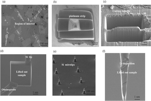 Figure 6. Steps of preparation of APT sample using lifted-out method (a) Selection of the region of interest. (b) Deposition of Pt protection layer. (c) Cutting cross section lamella. (d) Lift out the sample by using Omniprobe. (e) An image of a commercial microtip array. (f) Lift-out lamella attached to the Si microtip by using Pt deposition.