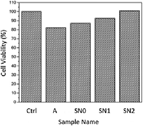 Figure 6. Percentage cell viability of uncoated and coated samples. Ctrl (bare Ti6Al4V), A (cleaned Ti6Al4V), SN0, SN1 and SN2 (HA coatings with strontium and niobium with different molar ratios) [Citation31].