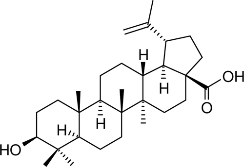 Scheme 1.  Betulinic acid (1).