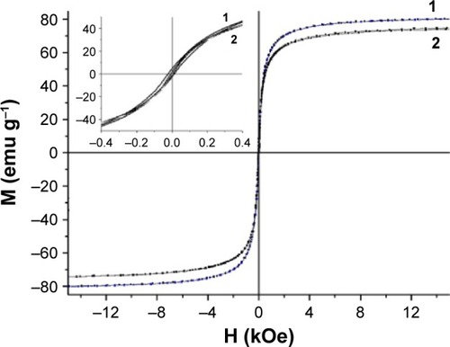 Figure 2 Hysteresis loops of (1) parent MNPs and APS-modified (2) MNPs-NH2·HCl.Abbreviations: APS, 3-aminopropylsilane; MNPs, magnetic nanoparticles; M, (mass) magnetization; H, magnetic field strength.