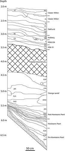 Figure 8. Stratigraphic section of the MSA and LSA layers at Rose Cottage Cave, modified after Pienaar et al. (Citation2008).