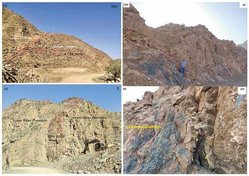 Figure 15. Field photographs of the ore zone controlled by the NW-SE fault zone in the Lower Dalan Formation at the study area.
