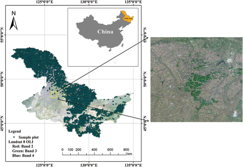 Figure 1. Location of the study area and the distribution of sample plots in 2018. The base map is a Landsat 8 OLI true color imagery in the WGS-84 geographic coordinate system. China map examination No. Is GS (2019) 1822.