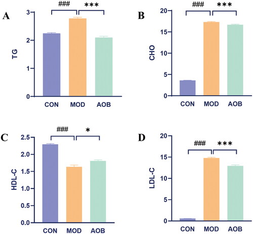 Figure 7. AOB improved four indicators of blood lipid of AS in APOE−/− mice stimulated with high-fat diet. Data show mean ± SEM values of 6 independent samples. # Represents comparison with the control group, ### represents p < 0.001; * represents comparison with the model group, * represents p < 0.05, *** represents p < 0.001.