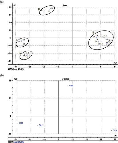 Figure 1 Principal component analysis of MAG based on fatty acid compositions: (a) score plot and (b) loading plot. (Color figure available online.)