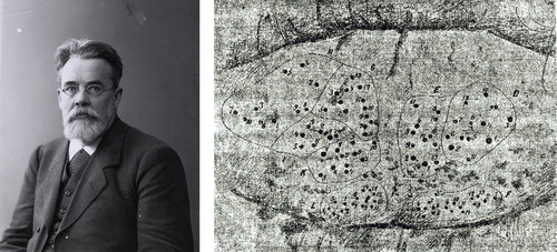 Figure 6. Hjalmar Öhrvall and the tip of his tongue magnified twice. The picture is drawn according to a photograph and shows the position and relative size of the papillae fungiformis referred to in his thesis. (UUB, Kart- och bildenheten, ID 7255).
