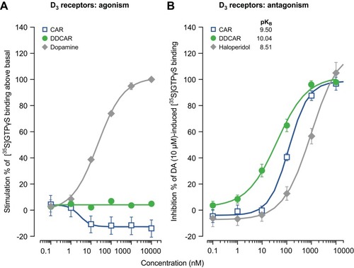 Figure 3 In the absence of dopamine, CAR and DDCAR do not stimulate [35S]GTPγS binding in membranes from CHO cells expressing human dopamine D3 receptors; however, both antagonize a dopamine (10 μM)-induced increase in [35S]GTPγS binding. (A) D3 receptor agonism; (B) D3 receptor antagonism.