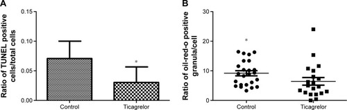 Figure 3 Reduction of apoptosis and oxLDL uptake in RAW 264.7 cells.