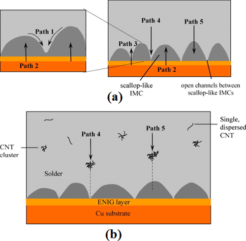 Figure 11. Schematic diagram of possible diffusion paths in a solder joint; (a) SAC and (b) SAC-CNT. Adapted from Nai et al [Citation115], copyright 2009, with permission from Elsevier.