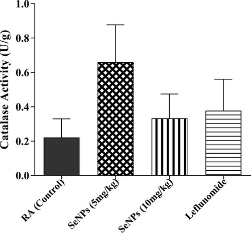 Figure 15 Catalase activity in liver tissue of treated arthritic mice in comparison to untreated arthritic mice. No significant difference was found in the catalase activity of SeNPs treated groups (5 mg/kg and 10 mg/kg) and of the Leflunomide group with respect to the arthritic mice (P=0.5097).