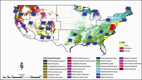 Figure 2.  Distribution of prototype, focal and samples sites where Landsat time series stacks (LTSS) have been assembled through the NAFD project. Each site is represented by a quadrangle. The two numbers separated by a slash in each quadrangle are the WRS path/row number for that site. The background forest group map (Nelson et al. Citation2007) shows that the majority of the forest groups in the conterminous U.S. have been represented by the study areas covered by the LTSS.