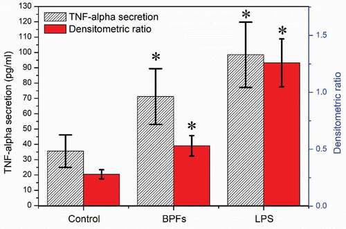 Figure 3. Effects of BPFs on the secretion and expression of TNF-α in RAW264.7 cells. Values were presented as mean ± SD of three independent experiments. *p < 0.01, significantly different to the control.