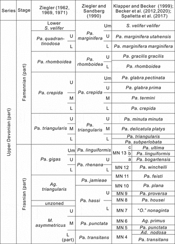 Figure 4. Correlation of the Upper Devonian pelagic conodont zonation schemes, which proposed by Ziegler and Sandberg (Citation1990) is selected as the reference scheme in this study. Generic abbreviations: Ad.: Ancyrodella, Ag.: Ancyrognathus, M.: Mesotaxis, O.: Ozarkodina, Pa.: Palmatolepis, S.: Scaphignathus.