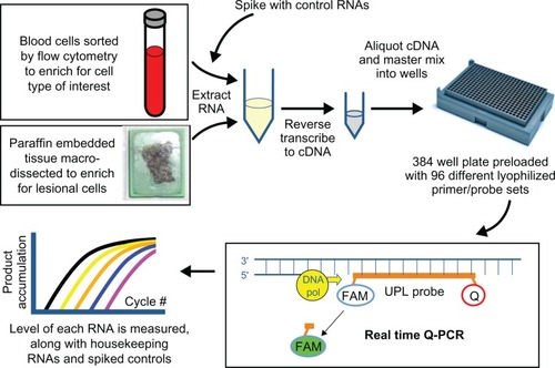 Figure 3 RNA profiling by high throughput quantitative reverse transcription polymerase chain reaction is a complex process requiring multiple quality checks. In this example, cell enrichment procedures are applied to blood or tissue on which a pathologist has confirmed lesional cells, spiked control RNA is added during cell lysis to measure downstream assay performance in the patient specimen, spectrophotometry assures adequate recovery of purified RNA, robotics standardize loading of cDNA and master mix into 384-well Roche RealTime Ready plates preloaded at the factory with lyophilized primers and probes, an internal probe enhances specificity of amplicon measurement beyond that achieved with dye alone, housekeeping RNA measurements reflect the overall adequacy of the specimen and the test system, and decision-support software assists with laboratory physician interpretation of the findings.