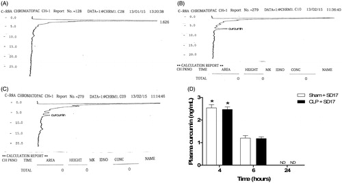 Figure 1. Curcumin plasma concentration after SD17 administration. Representative chromatograms of HPLC separations of (A) septic rat plasma blank, (B) septic rat plasma with curcumin standard and (C) septic rat plasma with SD17. (D) Curcumin levels of animals subjected to sham operation (Sham) or sepsis by caecal ligation and puncture (CLP), pretreated and treated by gavage with SD17 (100 mg/kg). The values shown are means ± SEM. *p < 0.001 compared to group 6 and 24 h. n = 4–7 animals per group. ND: not detectable.