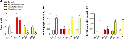 Figure 4 Antioxidant and anti-inflammatory capacity of ascorbate liposomes in human skin irradiated by ultraviolet (UV)A/UVB.