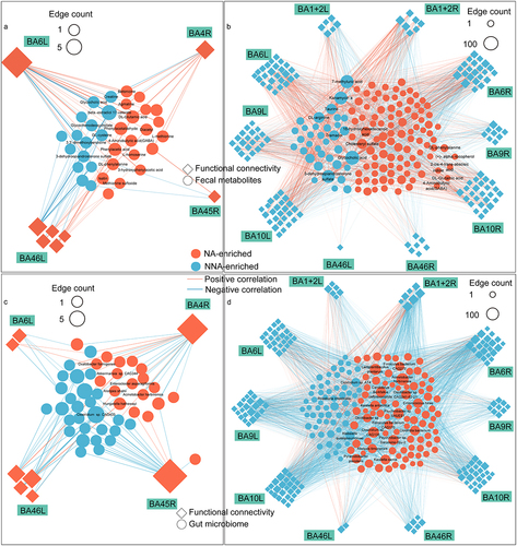 Figure 5. The correlation networks between fecal metabolomics/gut microbiota and brain functional connectivity.