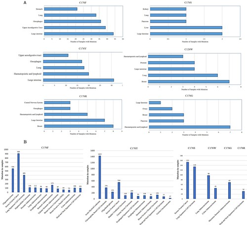 Figure 2. Various cancer types with C176 mutation samples (A) Data reported by a database of Catalogue Of Somatic Mutations In Cancer (COSMIC) and (B) TCGA cancer report.