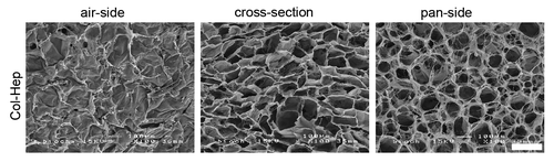 Figure 1. Morphology of porous collagen scaffolds crosslinked with heparin (Col-Hep) (scanning electron microscopical images). Air-side and pan-side represent the side exposed to the air or to the mold while producing the scaffold, respectively. Bar represents 200 µm.