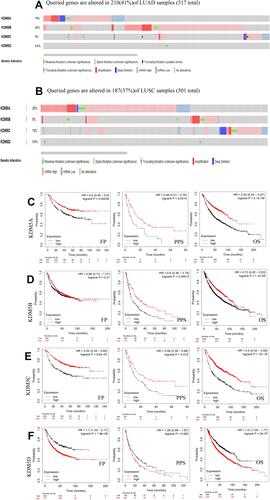 Figure 3 Genetic mutations in KDM5 subfamily members of LUAD (A) and LUSC (B) patients using cBioPortal. The association between prognostic features and the mRNA expression of distinct KDM5 subfamily in lung cancer patients using Kaplan–Meier plotter (C–F). The OS, FP, and PPS survival curves comparing patients with high (red) and low (black) expression at the threshold of p-value of<0.05.