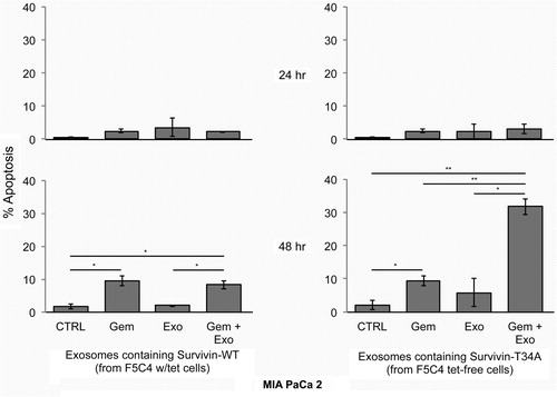 Fig. 5.  MIA PaCa 2 cells were treated with either 10 µM Gemcitabine, 150 or 200 µg/mL (total exosomal protein from F5C4) or the combination of both. MIA PaCa 2 cells treated for 24 hr showed little to no marked increase in apoptosis (<5%) after exosomes treatment. Gemcitabine (10 µM) had modest apoptosis induction over control (~11% vs. 2%, respectively). The combination of 10 µM Gemcitabine with 150 µg/mL exosomes containing Survivin-T34A yielded 32% apoptosis (~30% greater than control) after 48 hr. Percent apoptosis was determined from sub-G1 DNA content analyzing propidium iodide staining by flow cytometry. Data are the mean±SD of 2 independent experiments (*p<0.05, *p<0.01).