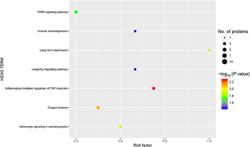 Figure 5 Kyoto Encyclopedia of Genes and Genomes (KEGG) pathway enrichment. KEGG signaling pathways were enriched for the differentially expressed proteins (DEPs). Abscissa: the enrichment factor showing the total proportion of DEPs in the KEGG signaling pathway as a proportion of the identified proteins in the classification. Ordinate: the KEGG term description. Bubble size indicates the number of DEPs in the KEGG pathway. The enrichment test P value was obtained using the Fisher exact test; −log10 (P value): the logarithmic conversion of the Fisher exact test P value.