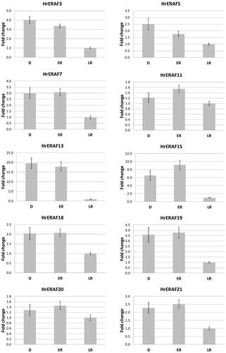 Figure 3. qRT-PCR analysis of the expression of 10 TDFs during early and late recovery stages of H. rhodopensis. D: freezing desiccated state; ER: early recovery (1 + 3 h); LR: late recovery (24 h + 7 d). Error bars on each column represent the SD of three replicates.