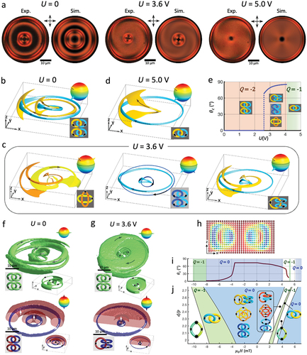 Figure 5. Topological transformation of hopfions. (a) Experimental (Exp.) and simulated (Sim.) polarizingoptical micrographs of Q=−2 hopfions in a negative Δε chiral LC under different applied voltages of 0, 3.6, and 5.0 V. (b–d) Numerically simulated 3D preimages in ℝ3 of points in S2 indicated as cones in the top-right insets. (b), (c), (d) correspond to the solitons shown in (a) under applied voltages of 0, 3.6, and 5.0 V, respectively. In (b), preimages of distinct points in S2 form a pair of Hopf links with a total linking number −2. In (c), a preimage can be a single loop (01) or two separate closed loops (012) with different subspaces of S2 separated by a boundary at θC=85∘; for all combinations of distinct points in S2, the total linking number is -2. In (d), a preimage is a single loop in S2 and the linking number is −1 for all pairs of distinct points in S2. (e) θC and Q of the soliton versus U, with abrupt changes of θC at U=2.6V and Q at U=4.2V. Schematics of preimage linking within each voltage range are shown as insets. (f–g) Experimentally reconstructed preimages of diametrically opposite points on the equator and at the poles in S2 for a Hopf soliton at U=0 (f) and at U=3.6V (g). The simulated counterparts are shown in the bottom-right insets. (h) Vertical mid-plane cross-section of a stable axially symmetric composite Q=0 soliton in a chiral LC ferromagnet at an applied magnetic field magnitude H=0 and d/p=2.7. (i) θc and Q versus μ0H at d/p=2.7. (j) Full stability diagram of the Q=0 soliton in (h) depending on d/p and H. The diagram shows rich solitonic structures including those without singular defects (hopfions) and those containing singular point defects (elementary torons and 3π torons). Here the applied magnetic field is defined to be positive when it aligns with the far-field m0. Reproduced from Ref. [Citation58] with permission.