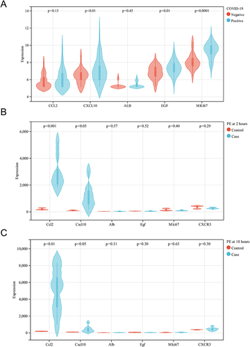 Figure 5 Validation of the hub genes in the external datasets. (A) The expression of CCL2, CXCL10, ALB, EGF, and MKI67 in the COVID-19 dataset (GSE16700). (B) The expression of CCL2, CXCL10, ALB, EGF and MKI67 in the PE dataset (GSE13535) at 2 hours after modeling. (C) The expression of CCL2, CXCL10, ALB, EGF and MKI67 in the PE dataset (GSE13535) at 18 hours after modeling.