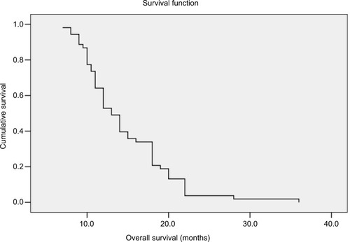 Figure 4 Kaplan–Meier curve of overall survival of all 53 patients.